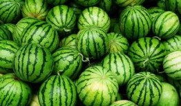 遵义网红吃瓜事件真相,揭秘背后真相与网络舆论的反思